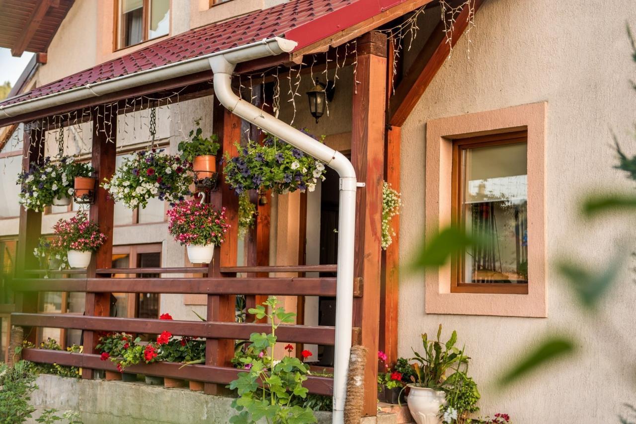 Casa Gotika Guest House Vama  Exterior foto